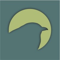 Amazonica Energy Logo