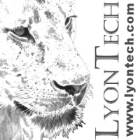Lyon Technical Services, LLC Logo