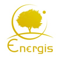 ENERGIS Group Logo