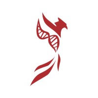 UC Berkeley Phoenix Consulting Group Logo