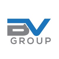 BV Group Logo