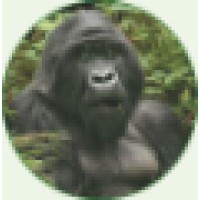 Kifaru African Expeditions Ltd Logo