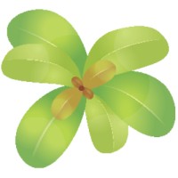 Lilly Pilly SCC Logo