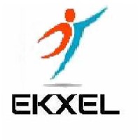 EKXEL IT Services & Financial Engineering Logo