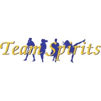 Team Spirits Logo