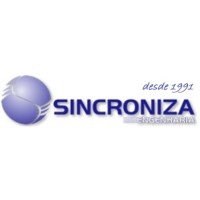 Sincroniza Engenharia Ltda Logo