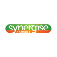 Synergise Consult Logo
