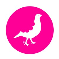 YCP Creativos S.L. Logo