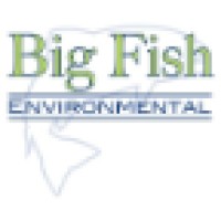 Big Fish Environmental Logo