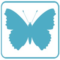 Atalanta Web Design Logo