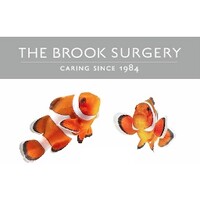 The Brook Surgery Ltd Logo