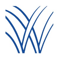 Wellspring Consulting Logo