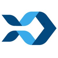 DigitalFish Solutions Logo