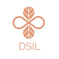 DSIL Global Logo