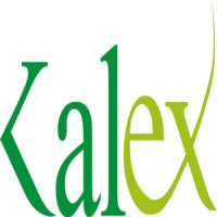Kalex Global Solutions Limited Logo