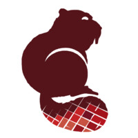 Castor Construction Group Logo