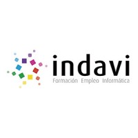 INDAVI Logo