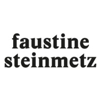 Faustine Steinmetz Logo