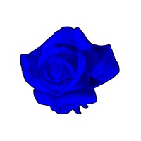 Burlas Aviation Inc. Logo