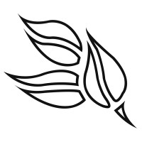 CEASAR Logo