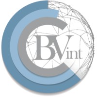 BVint - Business Valuation International Ltd Logo