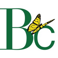 Beyond Constraints Transformation and Development Services Logo