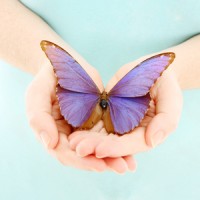 Mariposa Therapy Services Logo