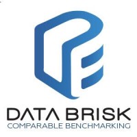 Databrisk Logo