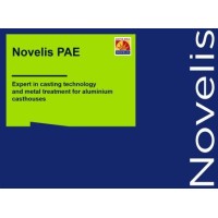 Novelis PAE Logo