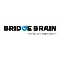 BRIDGEBRAIN Logo
