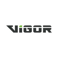 Vigor Technology PC Logo