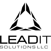 Lead IT Solutions LLC Logo