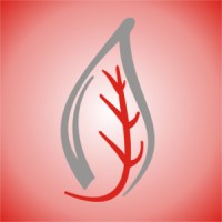 Papyrus Digital Solutions Logo