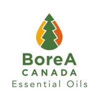 BoreA Canada Logo