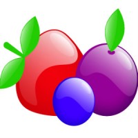 Berry Alliance NFP Logo