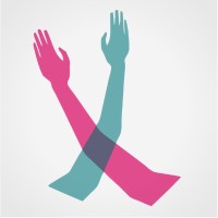 Democracy Volunteers Logo