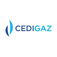 Cedigaz Logo