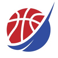 CourtVision International Logo