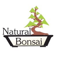 Natural Bonsai Logo