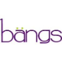 New Salon Services, Inc. Logo