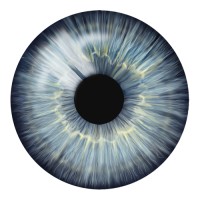 The Medical Stock Images Company Ltd Logo