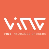 VING Insurance Brokers Ltd. Logo