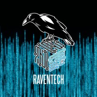 RavenTech Consulting Ltd. Logo