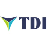 TDI Consulting Logo