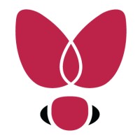 Shoe Fly Shoe, Inc. Logo