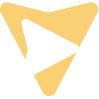 Volunteer Vision Logo