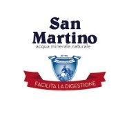 San Martino Srl Logo