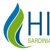 HIGAS S.r.l. Logo