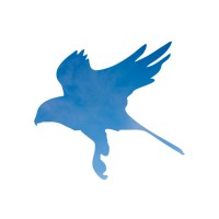 Spatial Eye Logo