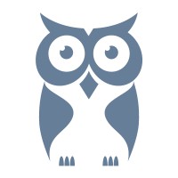 CyberOwl Logo
